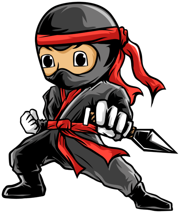 Little Ninjas - Trainerausbildung